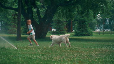 好玩的狗追逐男孩玩水洒水装置夏天公园